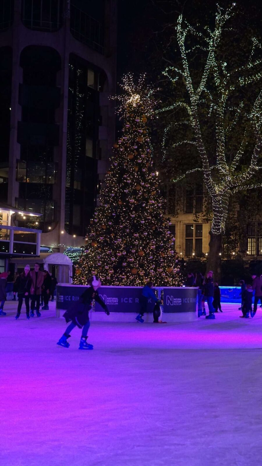 Places of Ice Rinks to visit in London