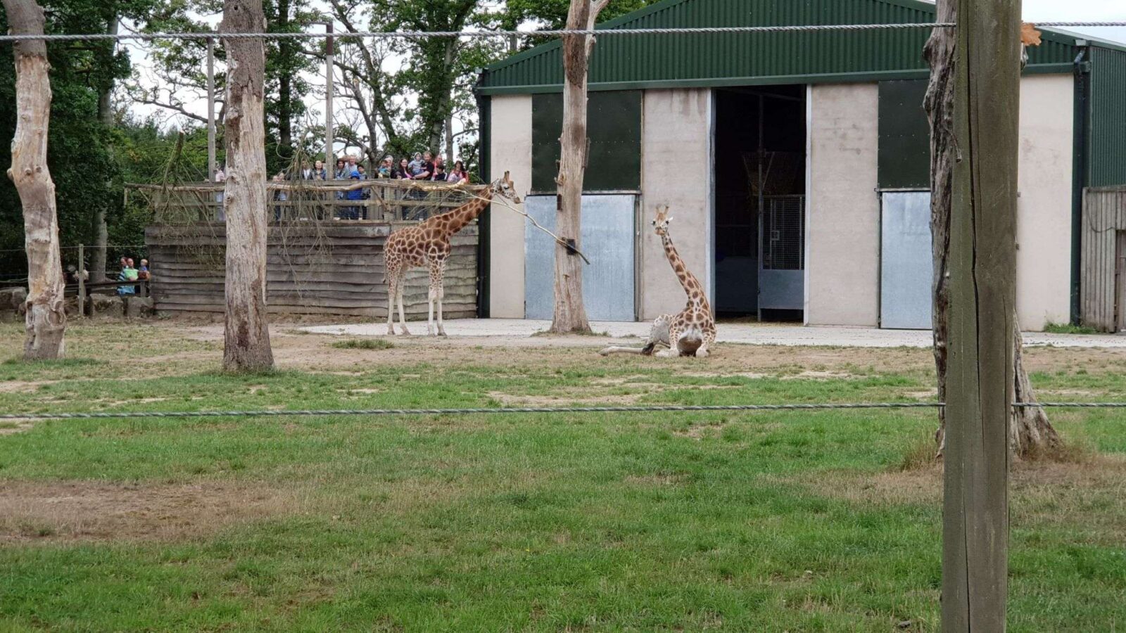 Knowsley Safari Zoo in Prescot