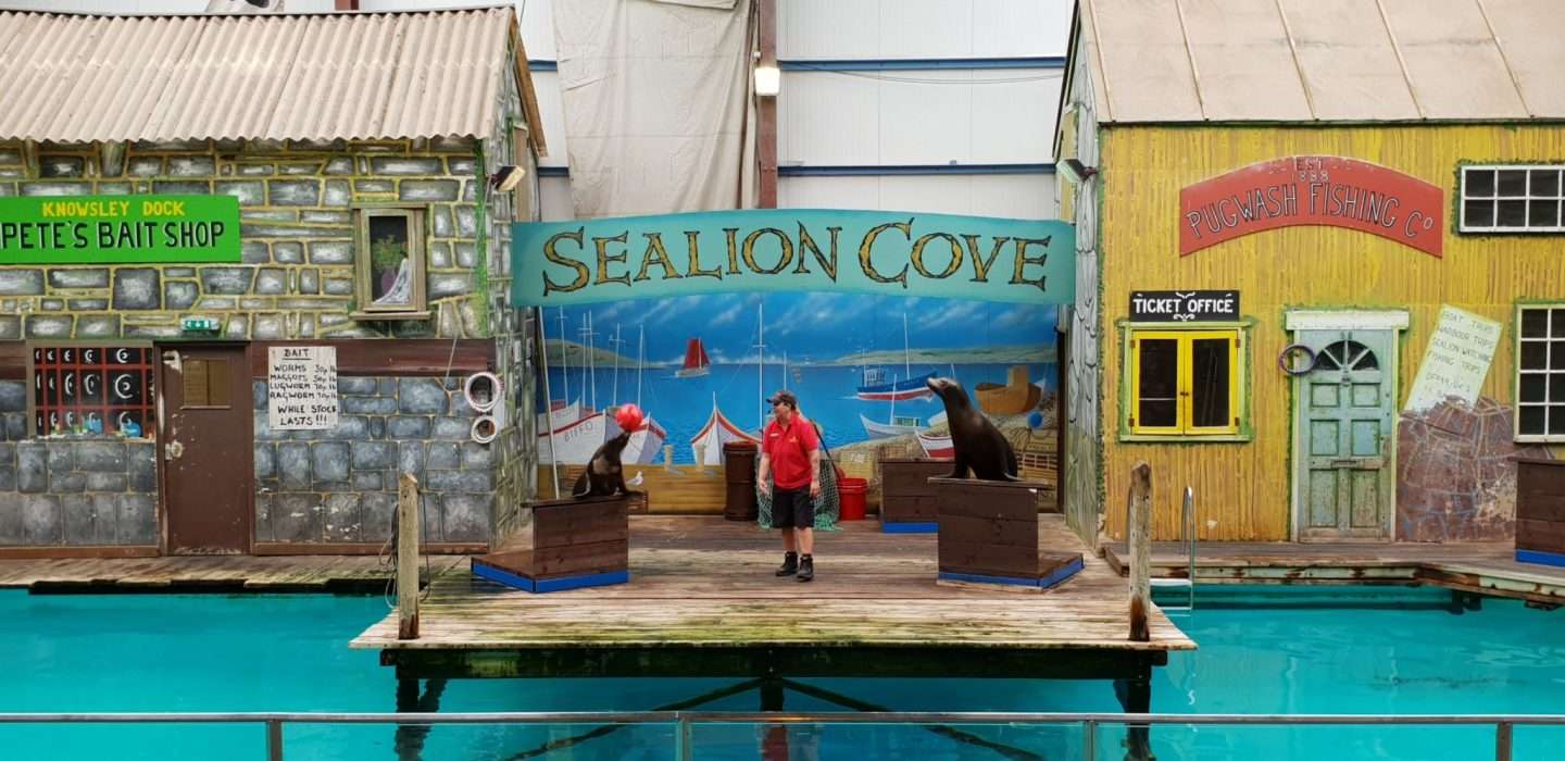 Live Show at Knowsley Safari