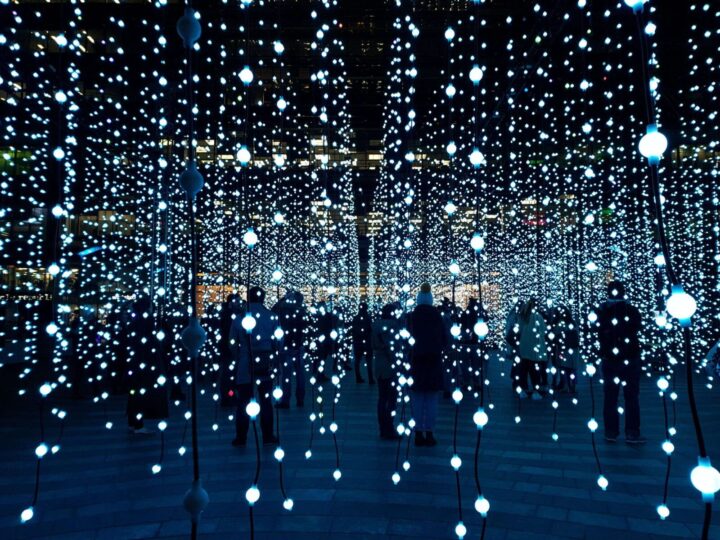 Winter Lights Festival Canary Wharf