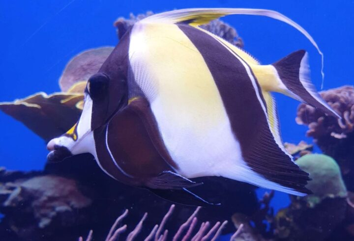 Palma Aquarium in Mallorca, Spain