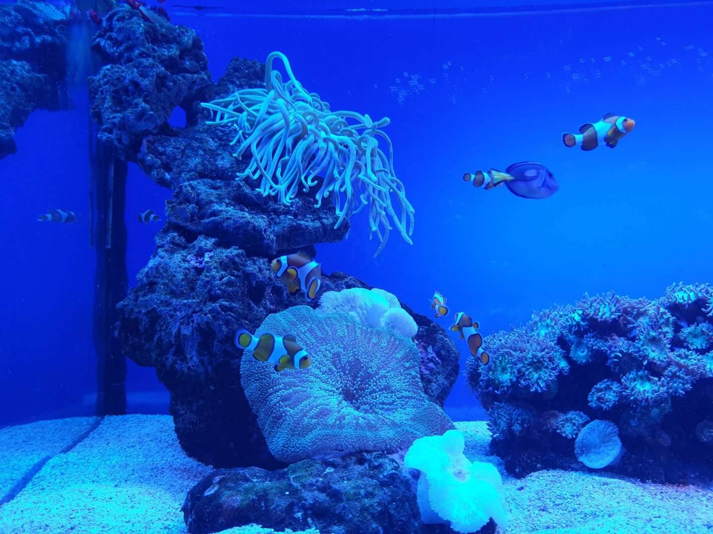 Palma Aquarium in Mallorca, Spain