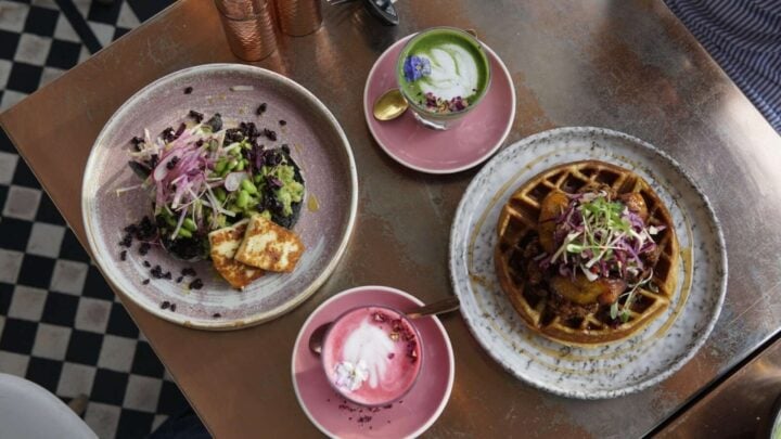 Starfish Loves Coffee Review | Palmers Green
