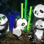 Panda at Lightopia
