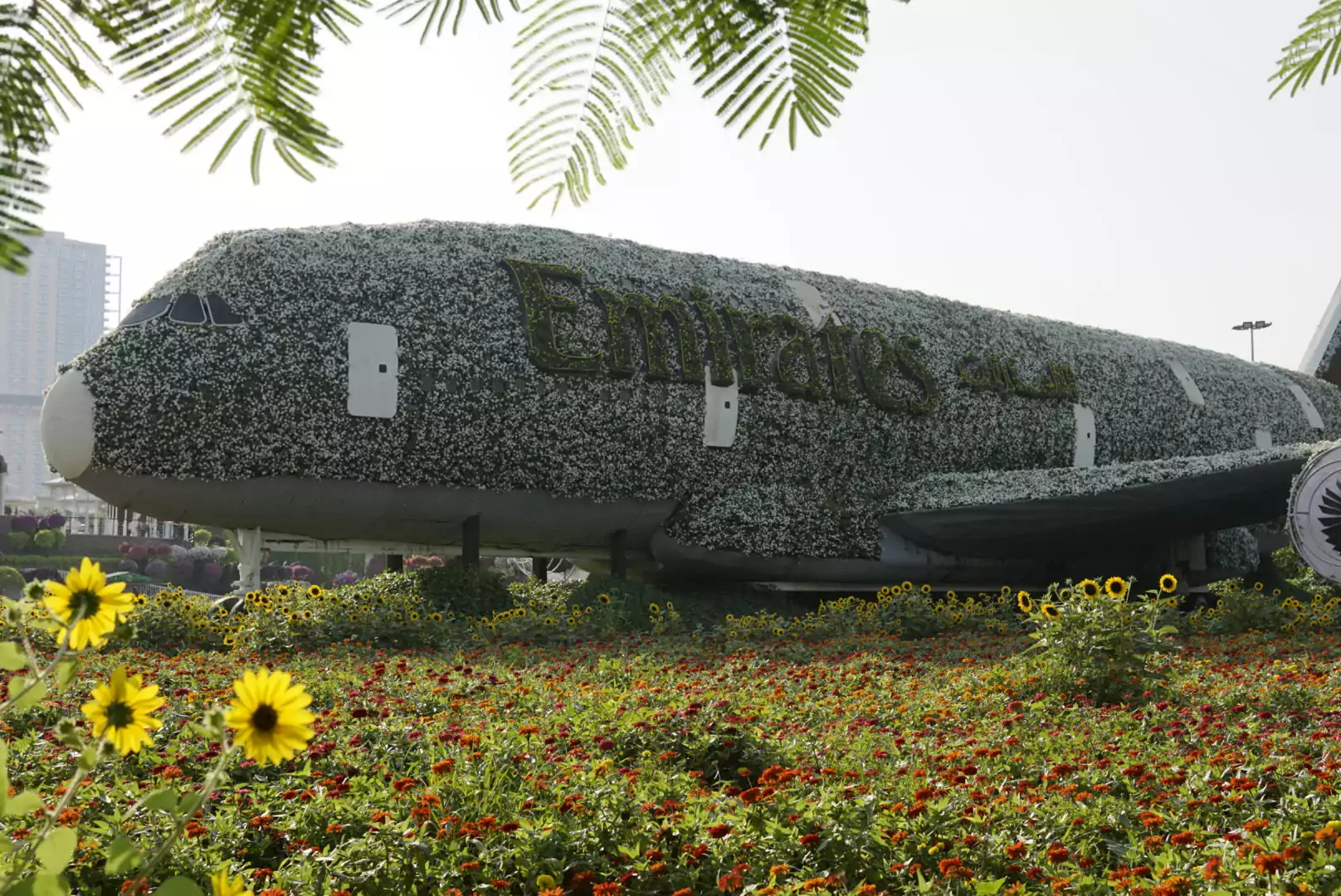 Emirates Airline at Dubai's Miracle Garden