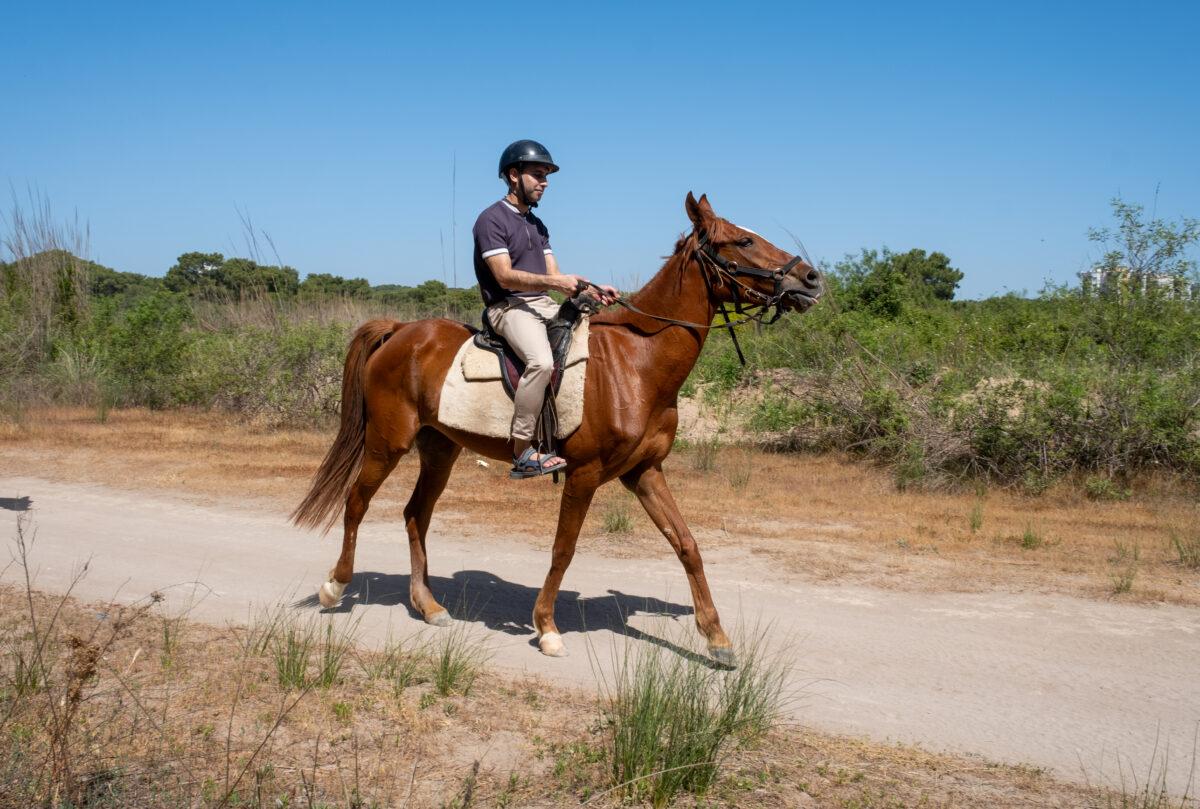 Top Horse Riding Trails to Explore in Antalya | Adil Musa