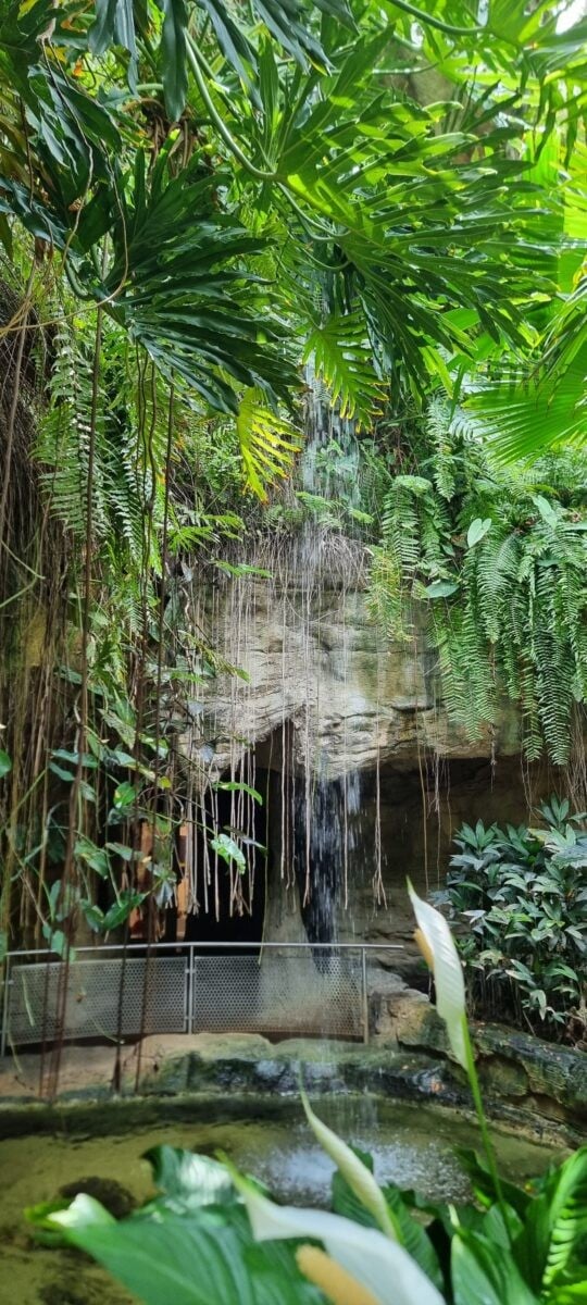 Waterfall at Cockrell Butterfly Center