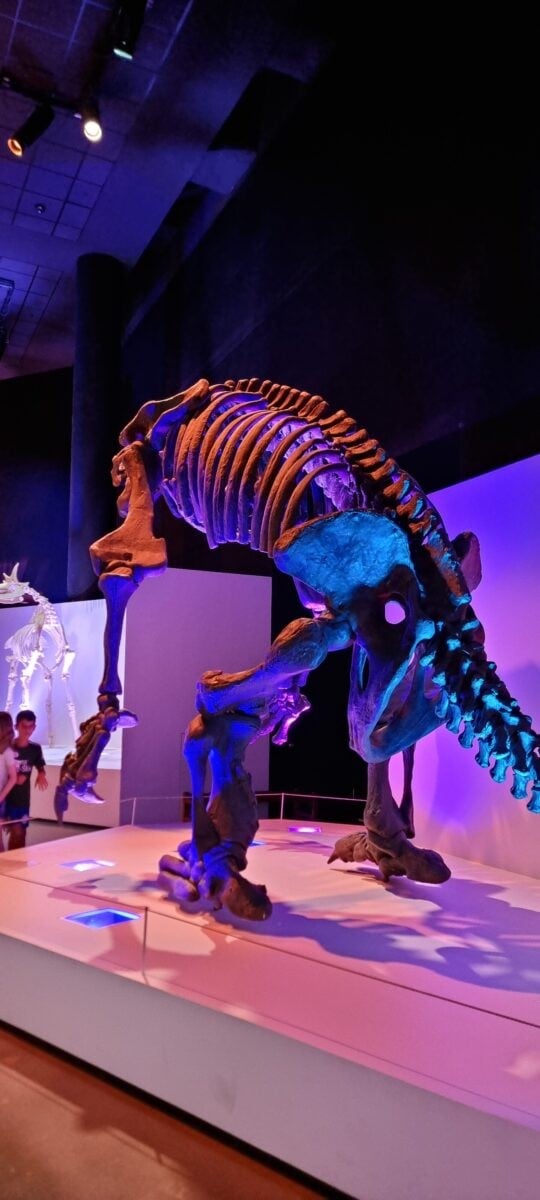 Morian Hall of Paleontology