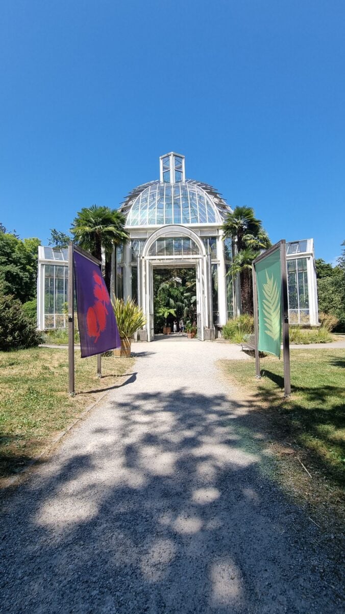 Greenhouse at the Botanical Garden