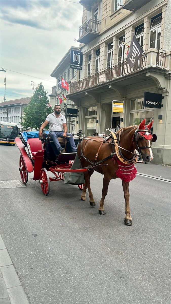 Horse & Carriage at Interlaken