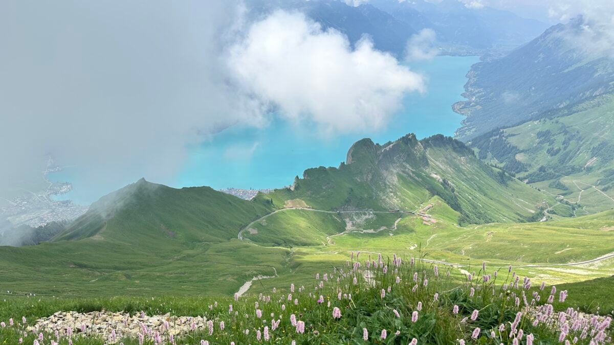 Turquoise Lake Brienz viewed from the historic mountain railway.