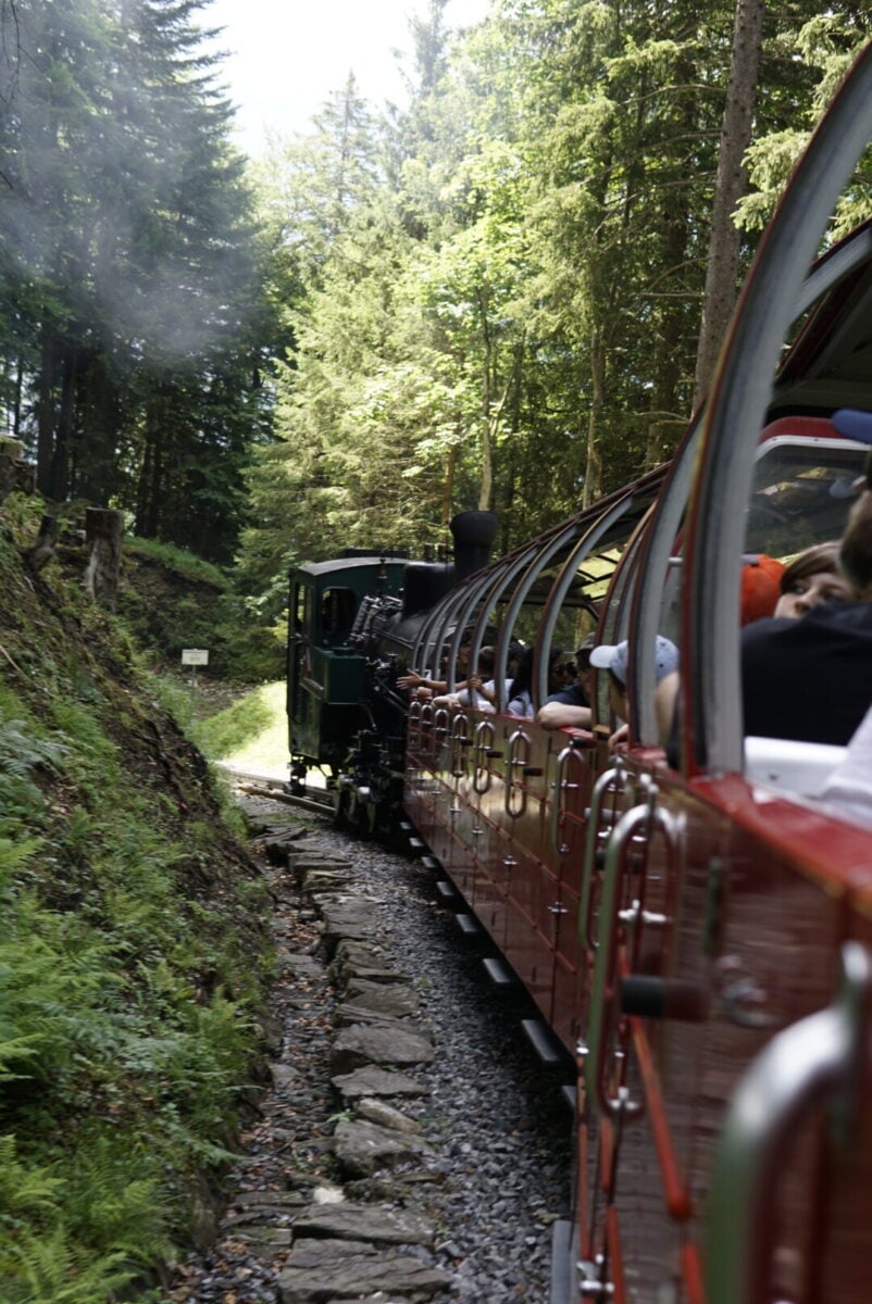 Steam train with red open-sided carriages climbing through forest on the Brienz Rothorn Bahn.